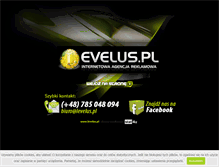 Tablet Screenshot of levelus.pl